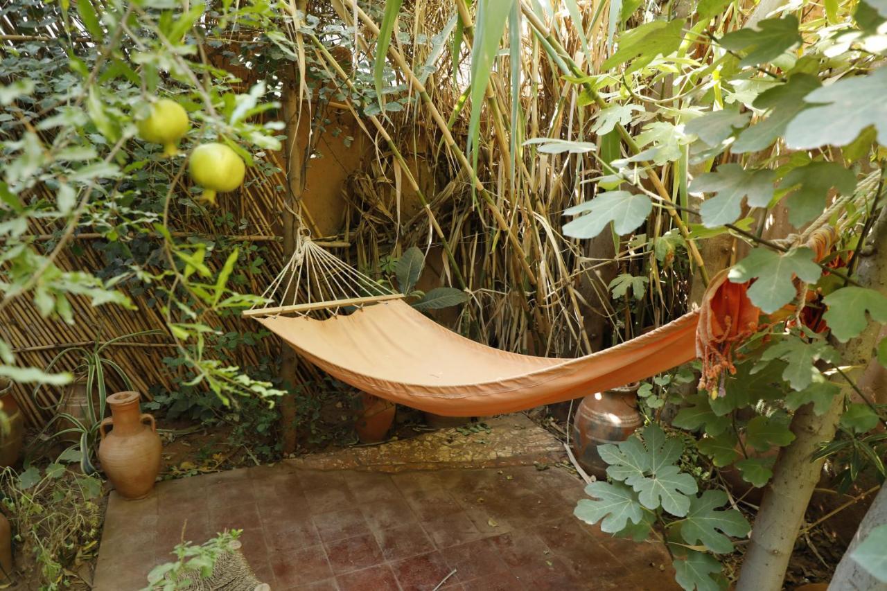 Dar Ouzoud Vegan Hotel Luaran gambar