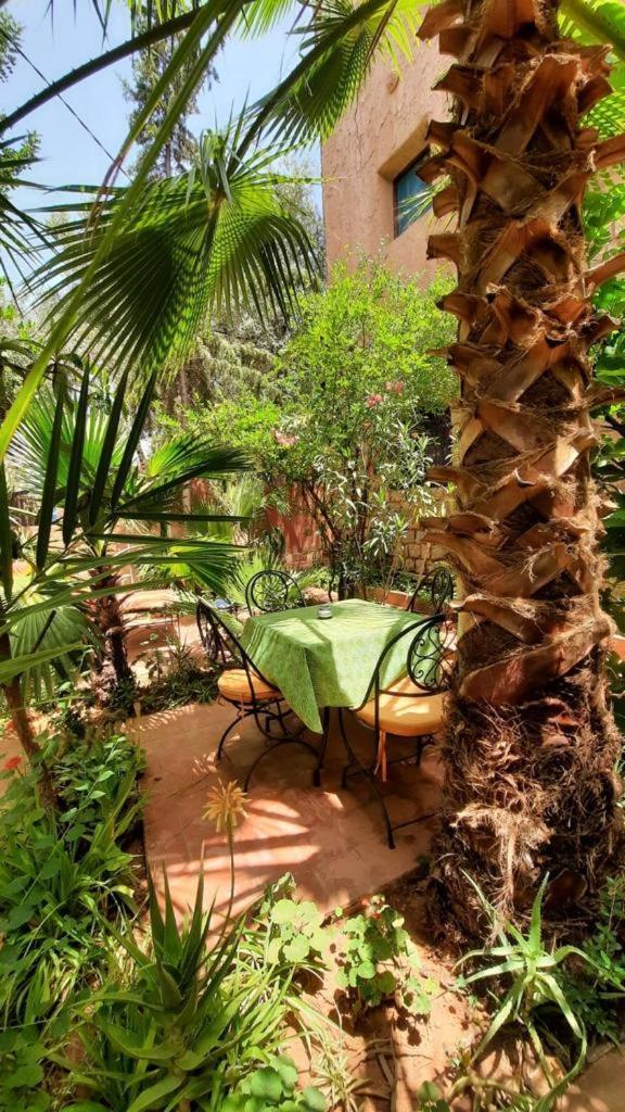 Dar Ouzoud Vegan Hotel Bilik gambar