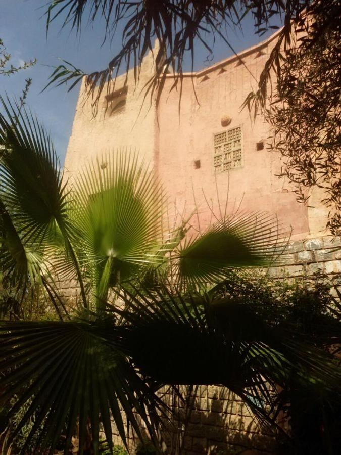 Dar Ouzoud Vegan Hotel Luaran gambar